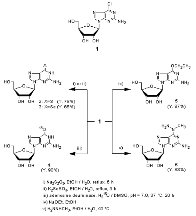 2-Amino-6-chloropurine Riboside Reaction 2-Amino-6-chloropurine Riboside Reaction