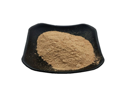 Alkaline Protease Food Grade