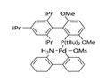 Methanesulfonato(2-di-t-butylphosphino-3,6-dimethoxy-2',4',6'-tri-i-propyl-1,1'-biphenyl)(2'-amino-1,1'-biphenyl-2-yl)palladium(II) / t-BuBrettPhos Pd G3