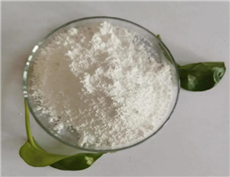 Pyridoxine hydrochloride