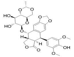 Etoposide