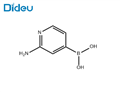 (2-AMINO-4-PYRIDYL)BORONIC ACID pictures