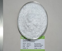 N1-Propylpseudouridine-5'-Triphosphate