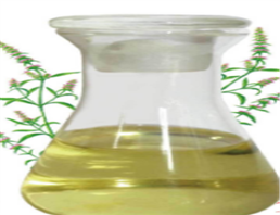 Chenopodium oil