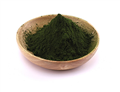 Spirulina  pictures