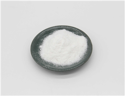 Hydroxypropyl Methyl CelluloseCAS9004-65-3