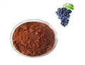 84929-27-1 Grape Seed Extract