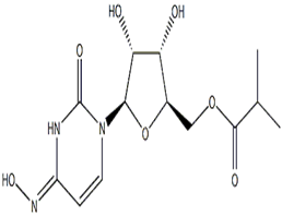 Molnupiravir