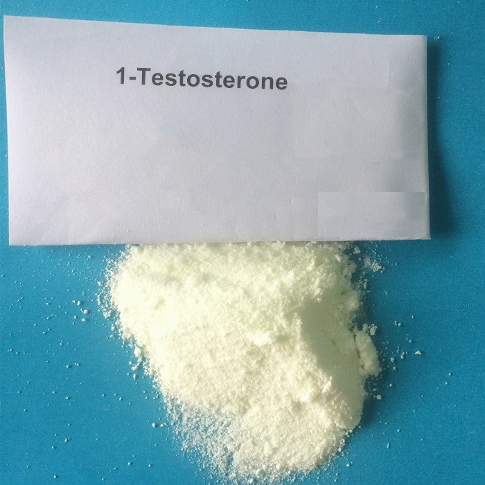 1-Testosterone