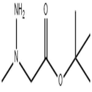 N-Amino-N-methylglycine tert-butyl ester