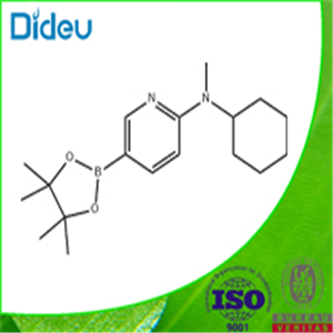 N-CYCLOHEXYL-N-METHYL-5-(4,4,5,5-TETRAMETHYL-[1,3,2]-DIOXABOROLAN-2-YL)PYRIDIN-2-AMINE 