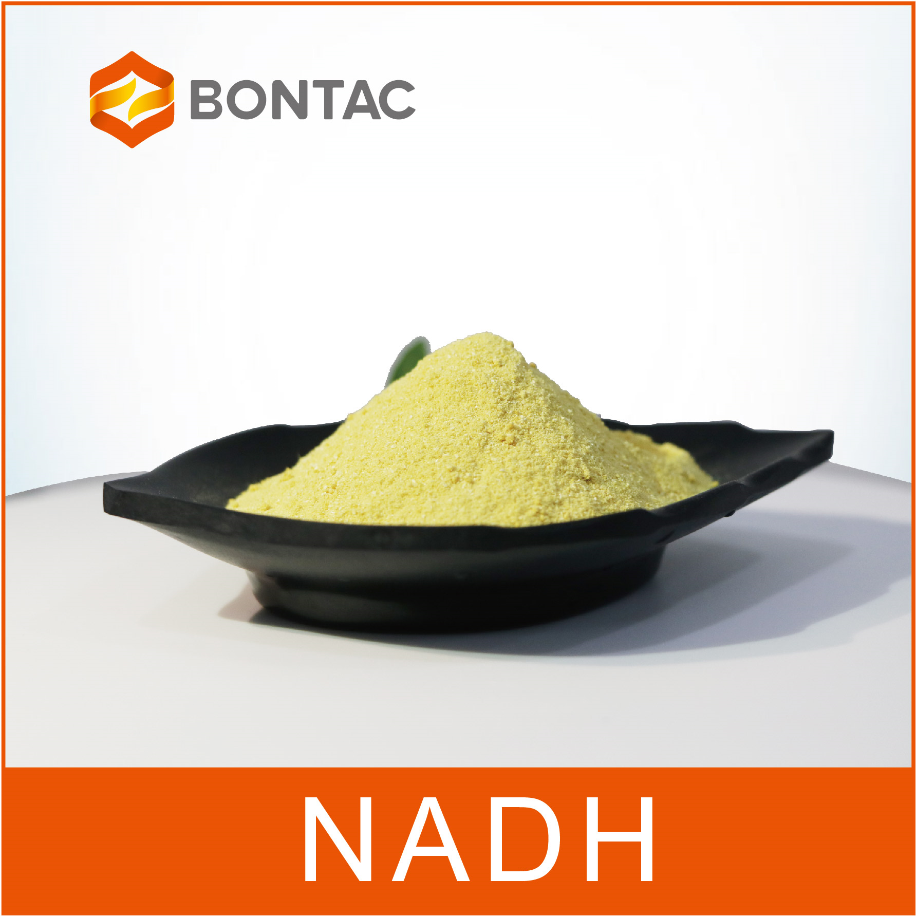 NADH β-nicotinamide adenine dinucleotide (reduced form)