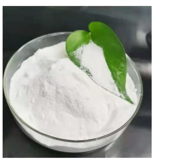 Gentamycin Sulfate