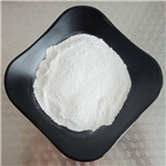  Shikimic Acid