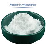 Phenformin (hydrochloride)