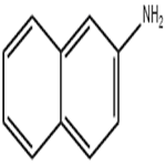 2-Aminonaphthalene