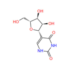 Pseudouridine pictures