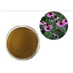 Echinacea Purpurea Extract pictures