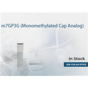 m7GP3G (Monomethylated Cap Analog)