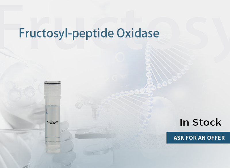 Fructosyl-peptide Oxidase/FPOX