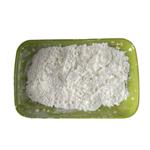 Carboxymethyl Cellulose Sodium Salt