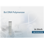 Bst DNA Polymerase(8U/μL) pictures