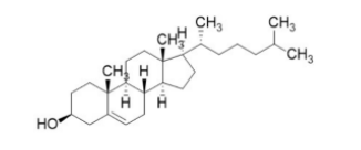 Cholesterol (Plant-Origin only)