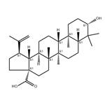 Betulinic acid pictures