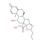 Budesonide pictures