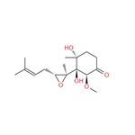 Ovalbumin peptide