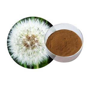 Dandelion extract flavonoids