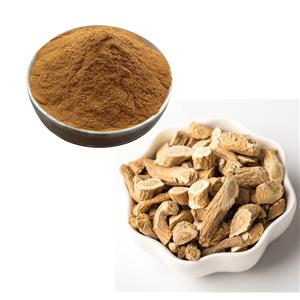 Isatis indigotica Root Extract