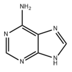 Adenine