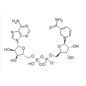 β-Nicotinamide adenine dinucleotide