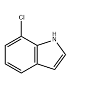 7-Chloroindole