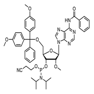 2’-O-Methyl-rA(N-Bz)phosphoramidite