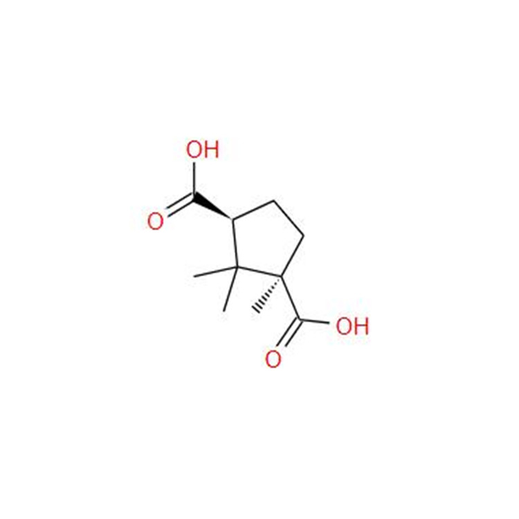 D-(+)-Camphoric acid