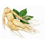 (20S)-Protopanaxatriol APPT；Panax Ginseng extract 