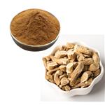 Isatis indigotica Root Extract