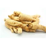 Panax Ginseng extract