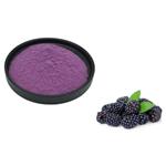 Mulberry powder;Mulberry Extract pictures