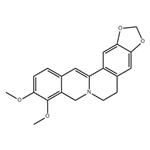 Dihydroberberine pictures