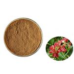 Kunming Mountain Begonia Extract Powder pictures