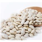 Phaseollin; White Kidney Bean Extract