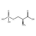 O-Phospho-L-serine