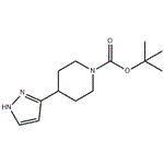 tert-butyl 4-(1H-pyrazol-3-yl)piperidine-1-carboxylate pictures
