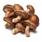 Shiitake mushroom extract powder