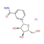 Nicotinamide riboside chloride; NR-CL