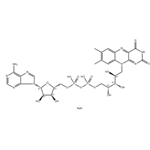 Flavin adenine dinucleotide disodium salt