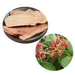Kunming Mountain Begonia Extract Powder